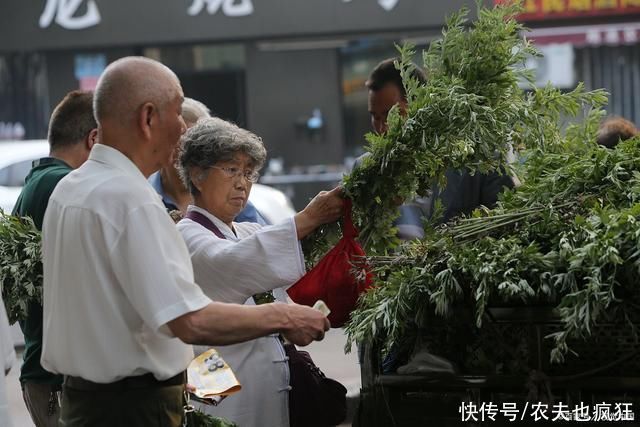 荆楚岁时记|“端午到，忙割艾”，割艾草讲究“前三后四”，是什么意思?
