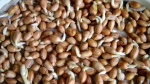 长寿菜|聪明女性常吃此食物，能养颜美容，滋润皮肤，爱吃就赚到