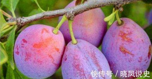 菠萝|想养生得会吃,3种食物换着吃,润肠通便,高效减肥,好处多多