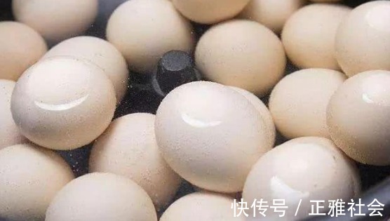 常温|煮鸡蛋时，不要直接下锅煮！大厨教你一招，鸡蛋嫩滑特好剥壳！