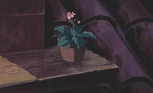 维生素d|有一种冬季抑郁叫“缺维生素D”，这4类人请及时补足