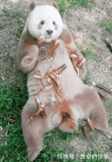 |搞笑神评:现在修仙不行了,灵气太少了,我现在都是邪修