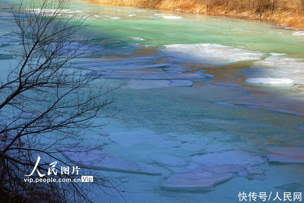 北京永定河安家庄段现“翡翠绿”河道