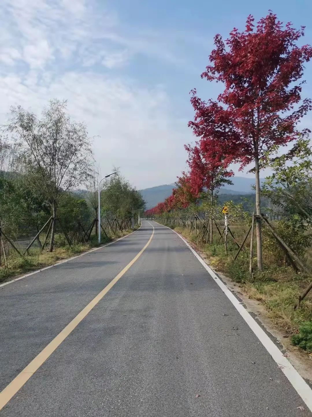 孝感|孝感秋日游上线！除了赏红叶还有玻璃桥、大峡谷、花溪客栈...