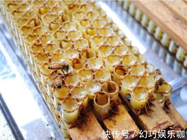 宝宝|孩子只要未满5岁,4种食物都不宜吃,此行为不是爱孩子是害孩子