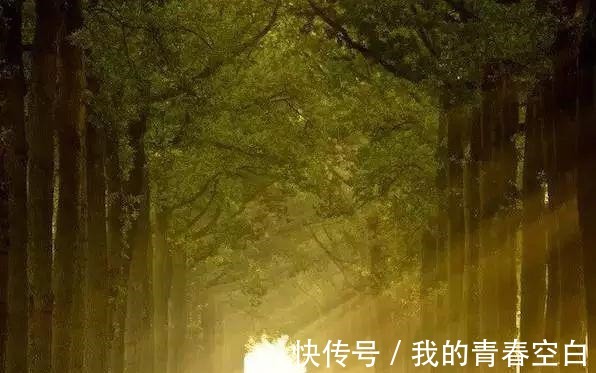 横祸&古代奇文《心相篇》 积功累仁, 百年必报