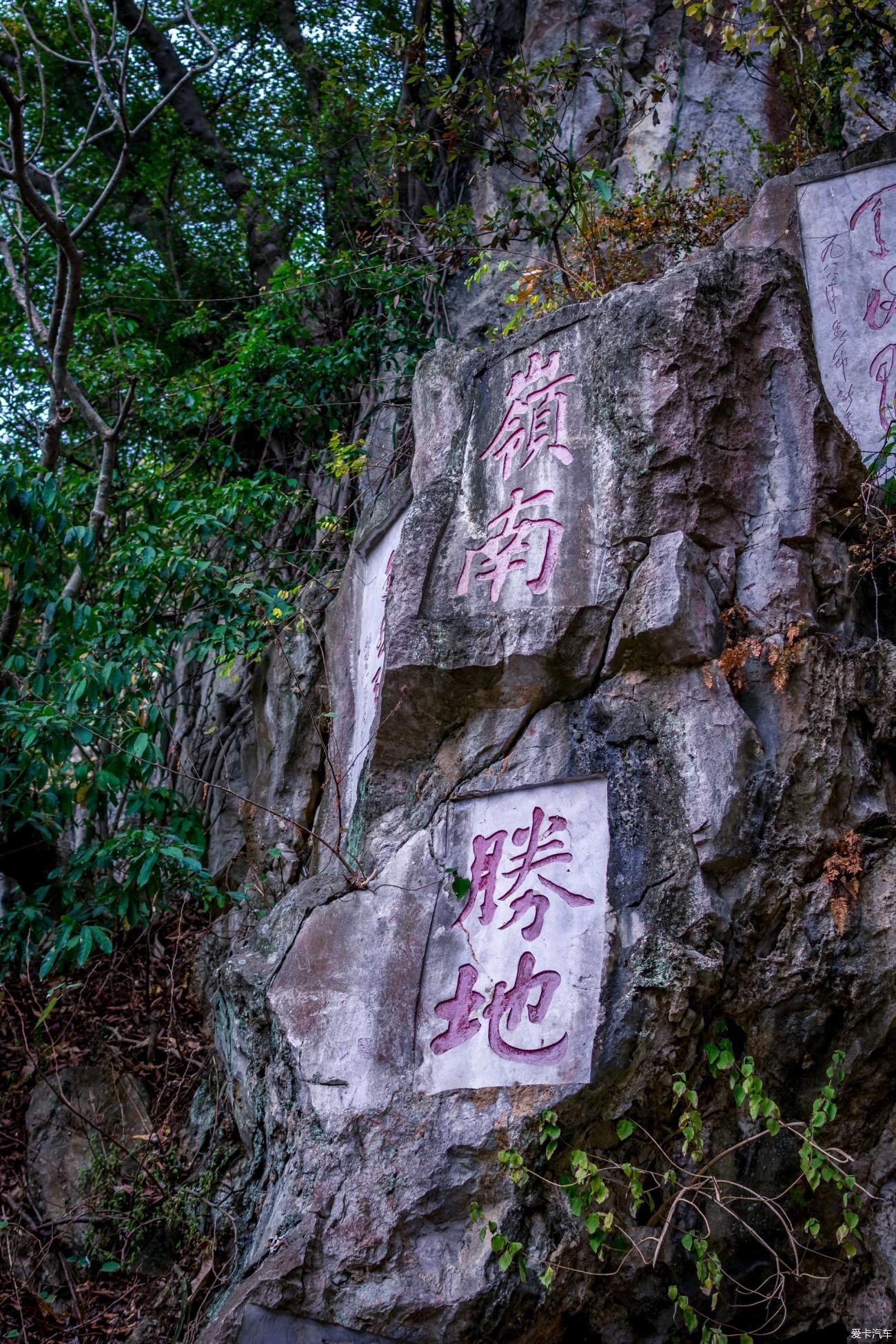 四季金大酒店|自驾游肇庆：北回归线的冬日燃情