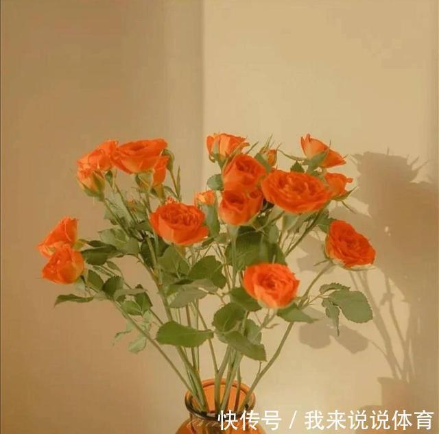 好用不知道的国货，月里嫦娥清爽不油腻，芬逸喷雾对皮肤伤害小