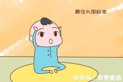 智力|研究发现:新生儿头围暗示大脑发育好坏,越接近这个数越聪明