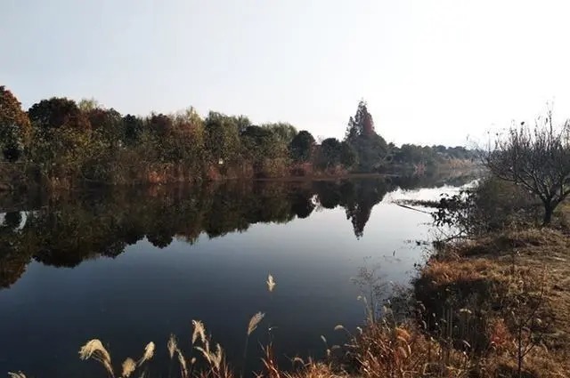 大水域|冬季钓鱼4字诀分享,新手掌握这些,一样可以钓到鱼