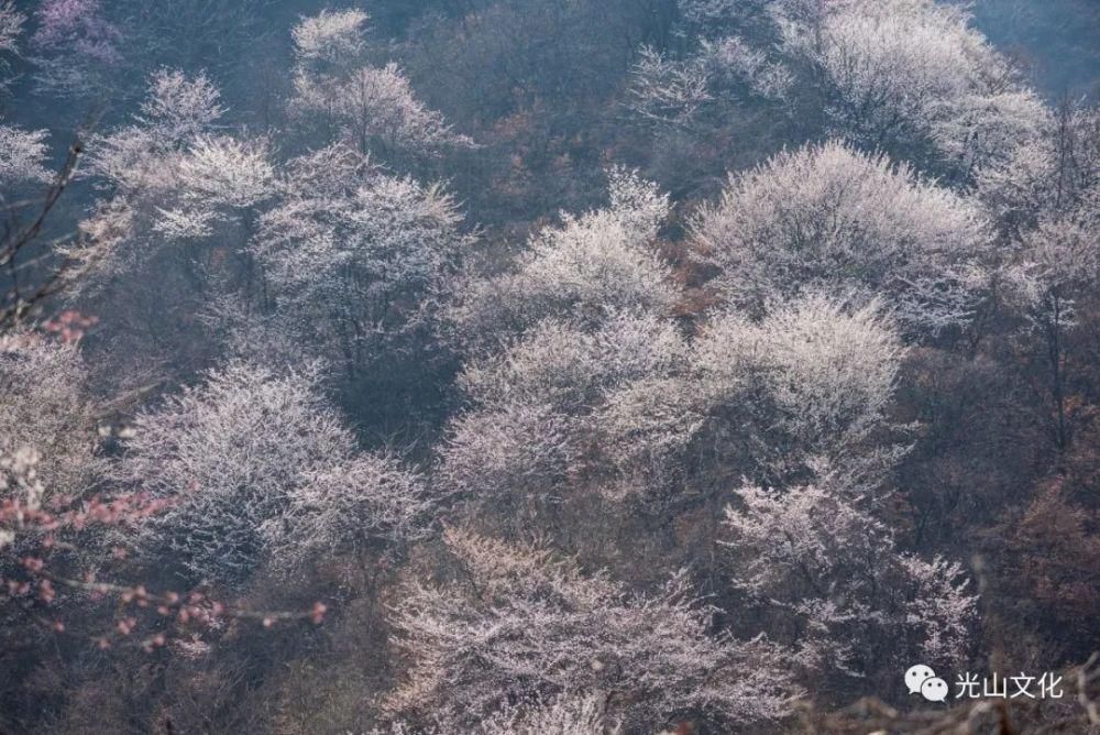 登上央视！信阳这片“仙境”，你去了吗？