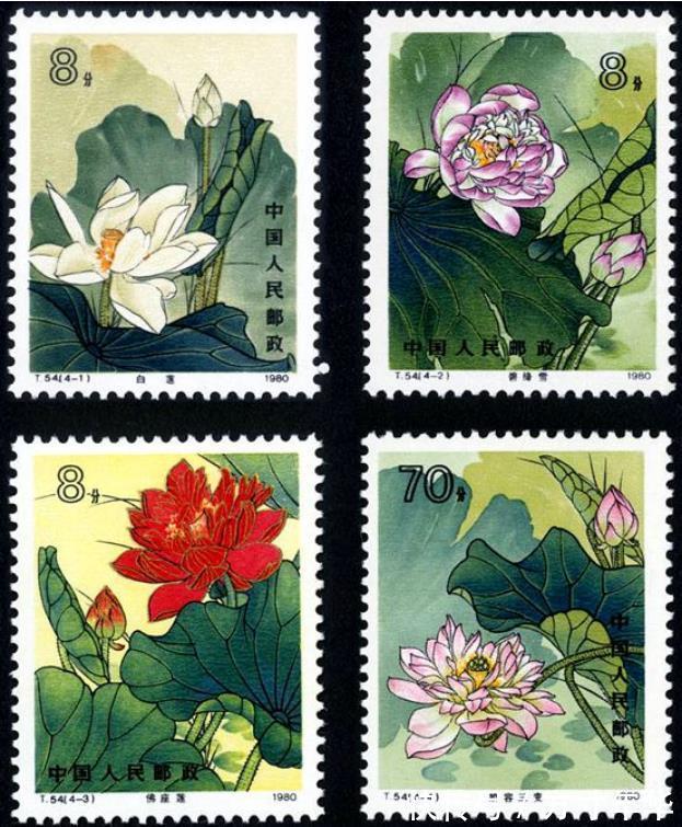 全套!这样的邮票价值11800元,题材资源已经枯竭,现在很少发行了