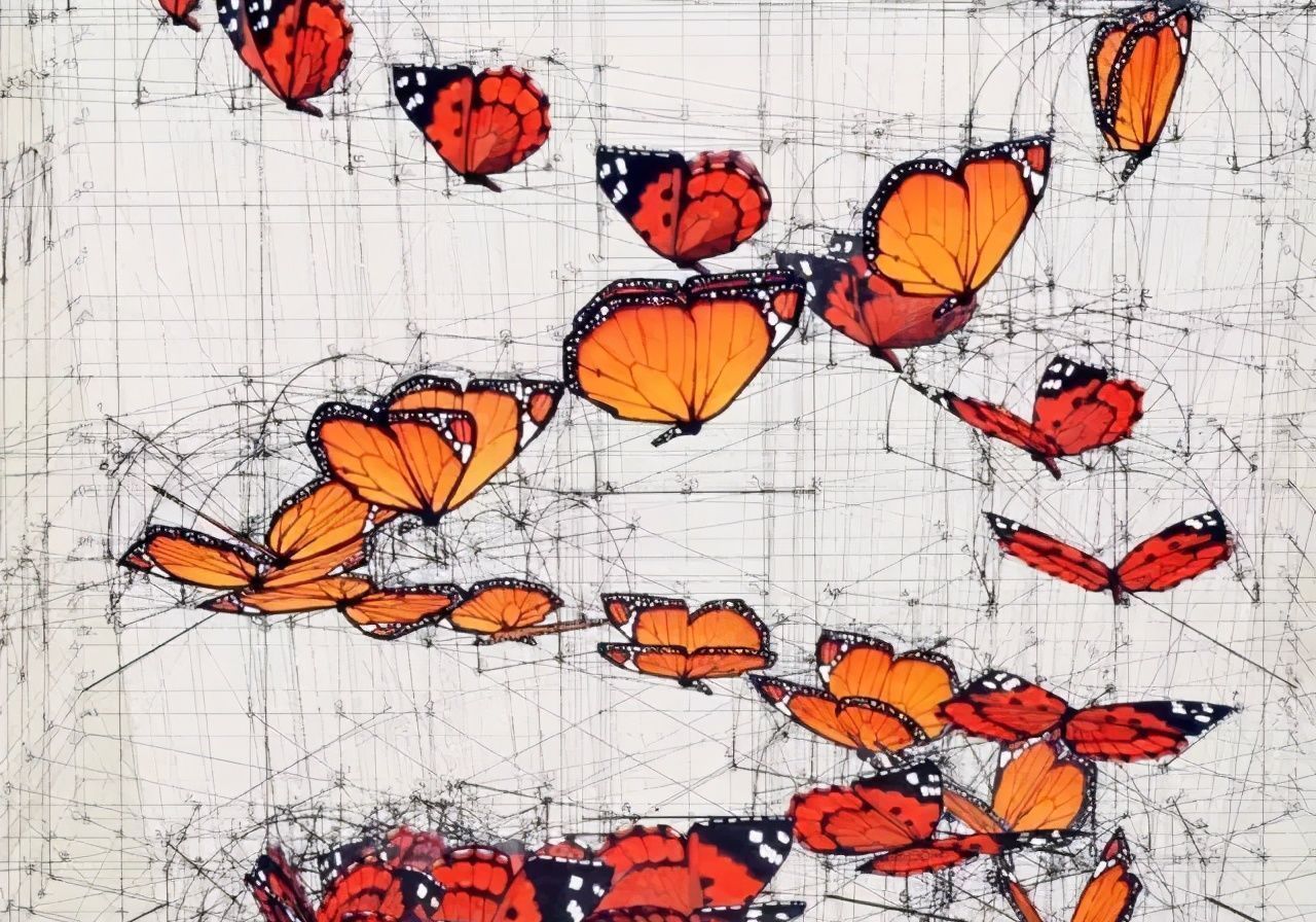 黄金比例!理工男花40年时间,用圆规画1000张画,黄金比例的拥护者