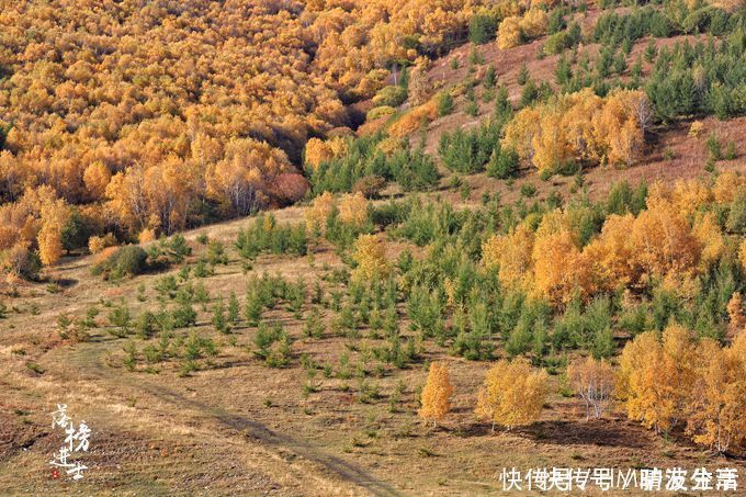 国内十处小众旅行地，这里藏着醉美的秋色，看看你去过几处