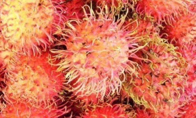 营养|女性不想老太快,可以多吃3种食物,营养丰富,滋润身体!