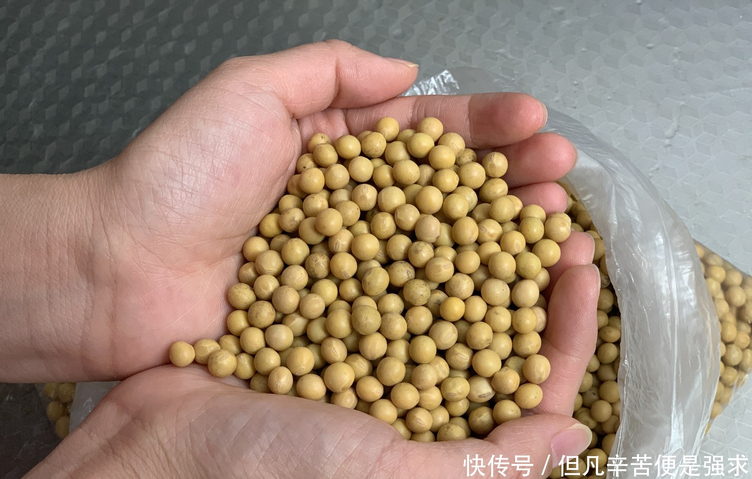 教你在家自制豆腐,几乎零失败,自己做吃着放心