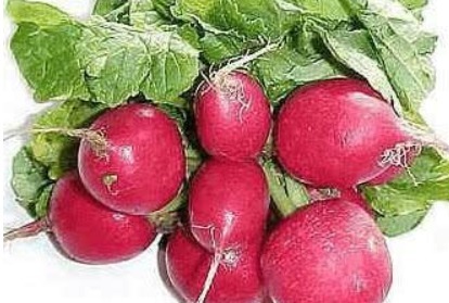 延缓|聪明人都在吃3种蔬菜,营养丰富、延缓衰老,越吃越健康