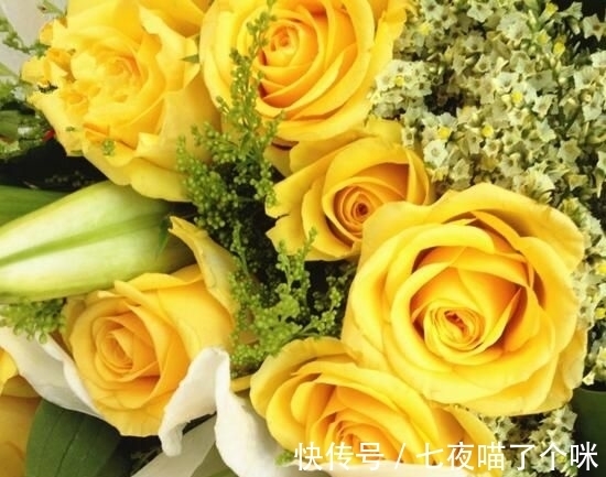 发家致富|这3大生肖拥有最强大脑,一定能发家致富!