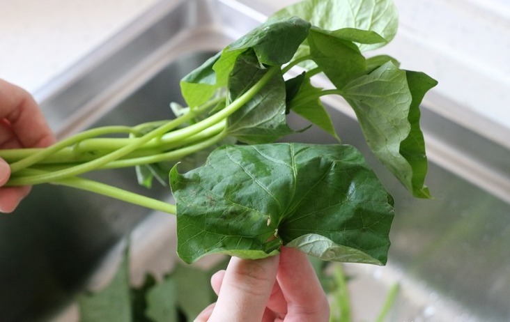 正当季|红薯叶煮鸡蛋，作用实在是太厉害了，省钱又实用，很多人都不晓得