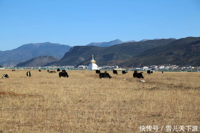 传说中的香格里拉，实现了多年的梦想