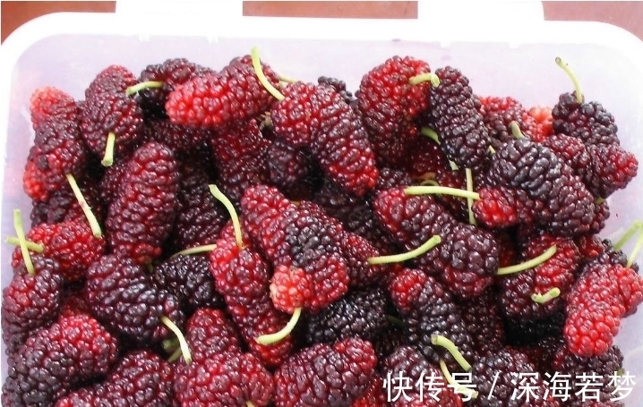 大蒜|我国“最强的解酒药”不是大蒜而是它!3分钟醒酒,春节酒桌必备