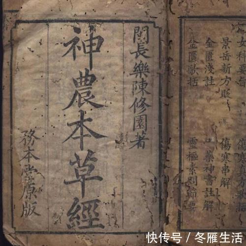 崩漏|霜桑叶治“盗汗”如神,疗“崩漏”如圣,全在一个“霜”字