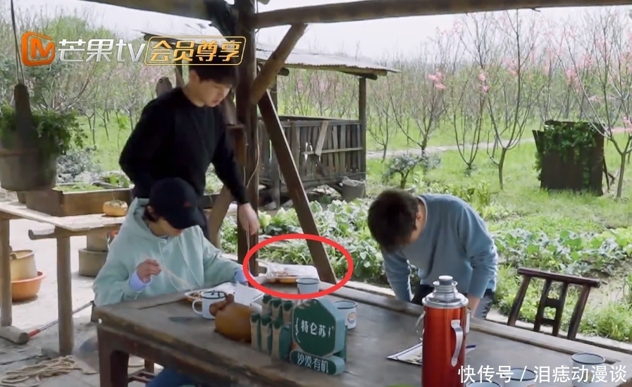 鸡腿 张子枫彭昱畅吃盒饭视频流出,《向往5》美食综艺的遮羞布被扯下