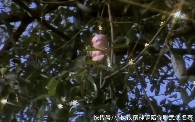 唐僧#《西游记》中的镇元子法力高强,为什么还要和孙悟空结拜