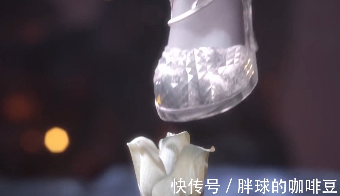 斗罗大陆|斗罗大陆：唐三白玫瑰花海求婚，花语有深意，三哥有心了
