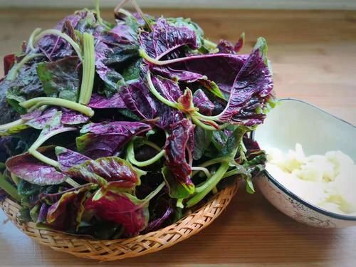 长寿菜|这菜可真是“一宝”，夏天吃最好，清热解暑，利尿除湿，不吃可惜