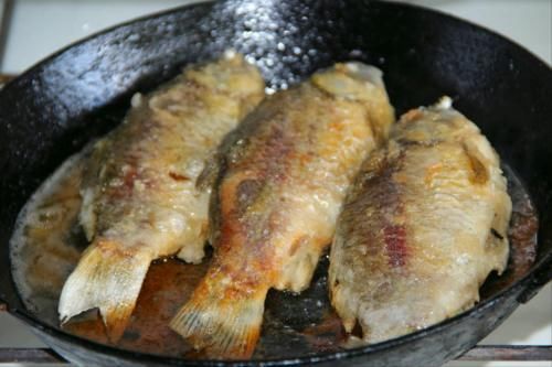 窍门|炖鱼汤时，只需掌握2窍门，炖出来颜色奶白，鲜美好喝还不腥