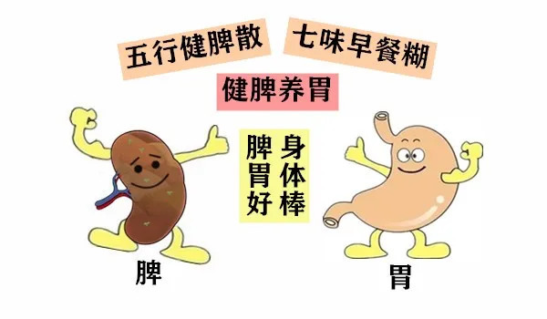 寒则热之热则寒,中和用药解胃炎|大白话说中医第一百五十四期| 寒症