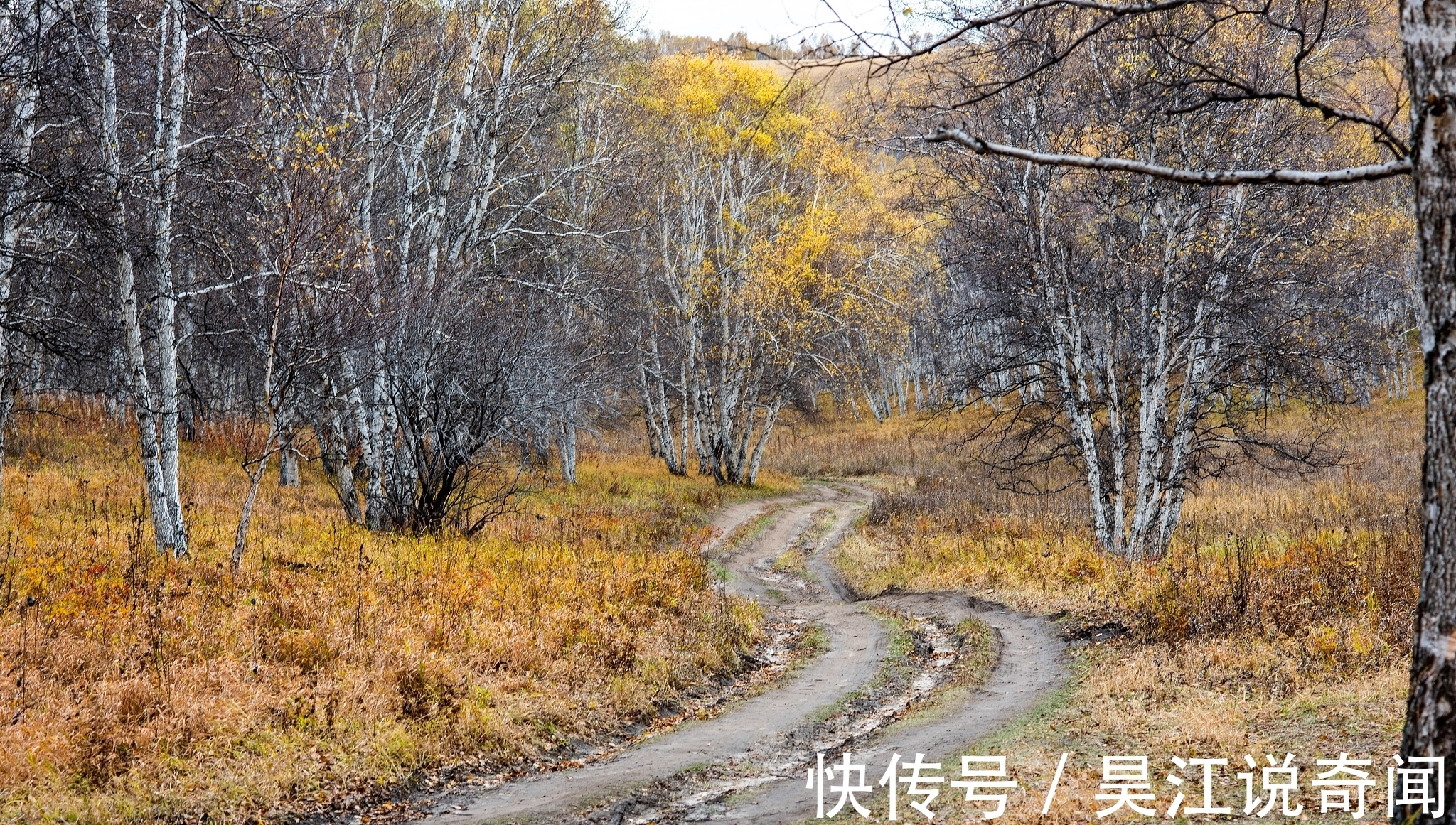 第三人|行政诉讼：在拆除房屋前，应对涉案房屋的权属及使用情况进行调查