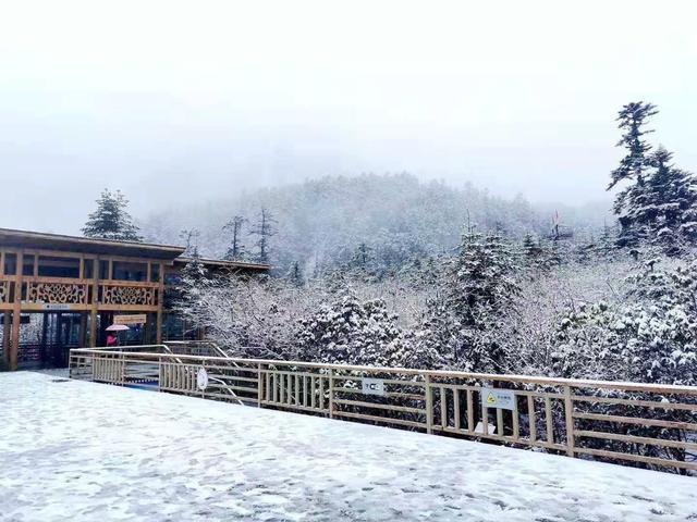 雪花|四川最会变脸的景点，说好的秋天一夜过后银装素裹，游客称赞漂亮