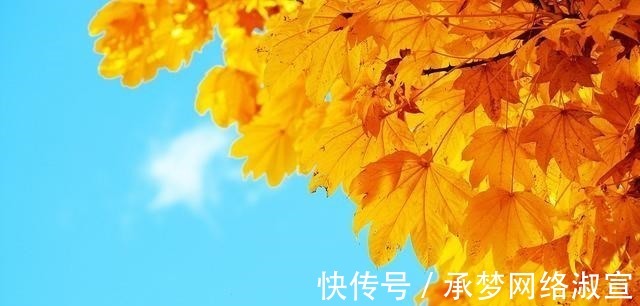 脸色|为人清高,且顶天立地,不看任何人脸色的三大星座,活出真实自我