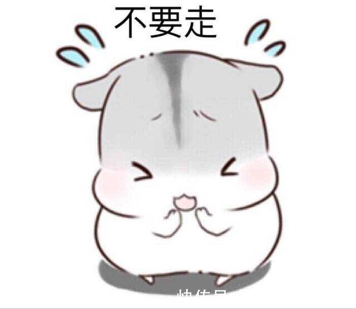 |十条段子:惊不惊喜,意不意外,玩的就是心跳