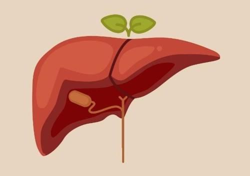 王大妈|肝不好不能吃南瓜？医生：除了南瓜，这2种食物也尽量远离