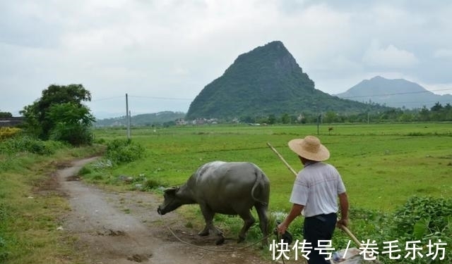 耕牛|中国大陆最南的喀斯特，隐藏在这座世外桃源般的小村庄中