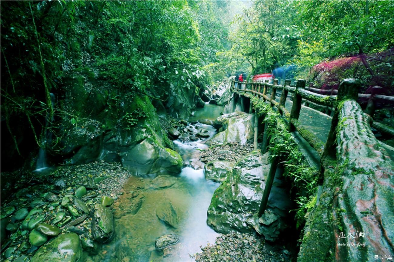 梵净山升仙之山，超越时空的净地，世间难得的一方净土