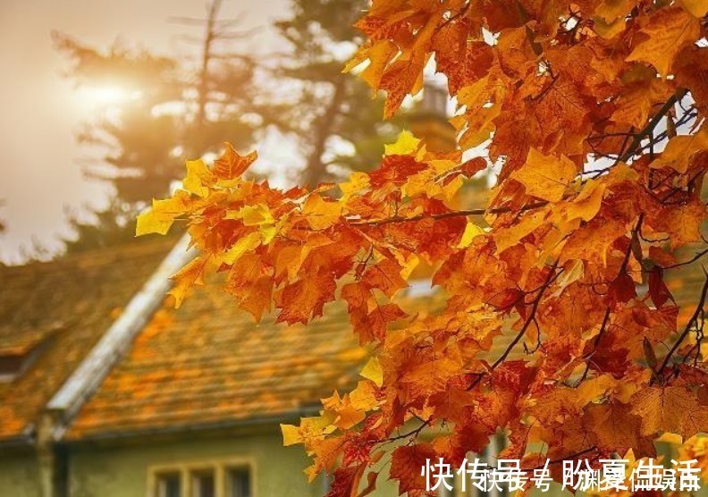 三秋@一首流传两千多年的肉麻诗,其中一句常被人挂在嘴边,却不解其意