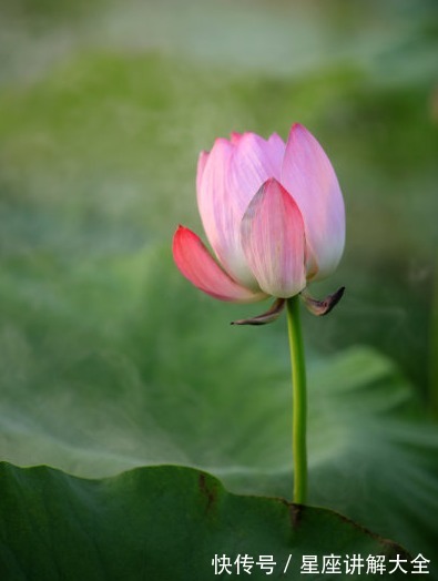 好运|步入10月底,吉星照耀,4属相贵人相助,事业步步高升,生活美满