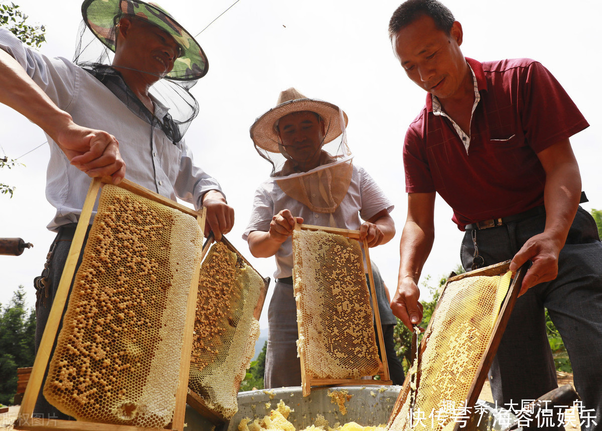 1根筷子就能辨别真假蜂蜜!赶紧来学学吧,参假蜂蜜一试就现原形