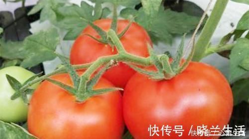 元素|50岁后多吃3种“溶栓剂”，血管不堵了，身体清爽了，健康更长寿