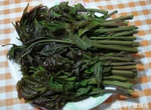 香椿炒鸡蛋,先炒香椿还是先炒蛋都错了,难怪口感不鲜美软嫩