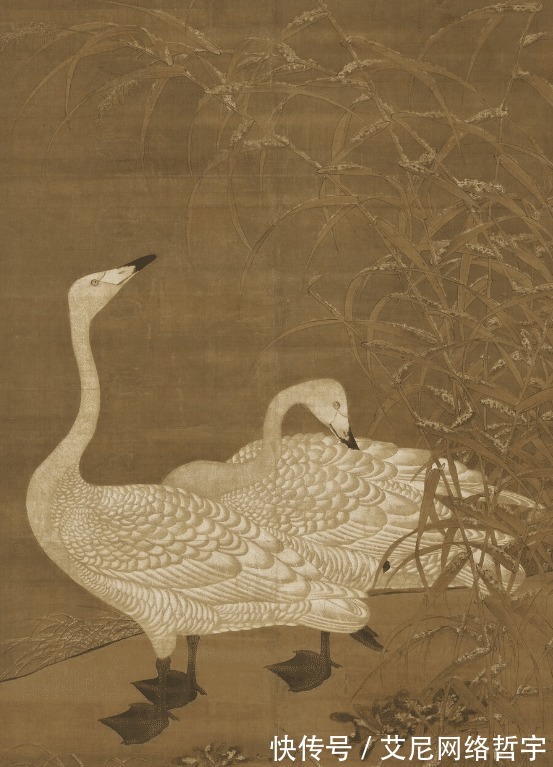 大雁|古代禽兽故事7则