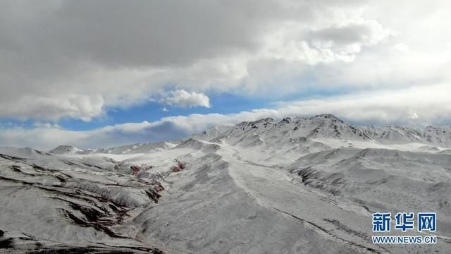 冬日|雪山、草原、牦牛……冬日祁连美如画