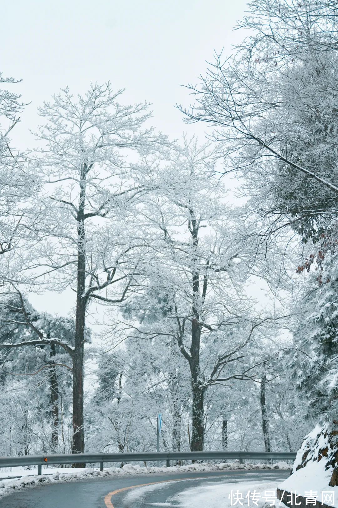 云海|太美了！台州最新雪景！括苍山跌至-10℃，再现云海奇观