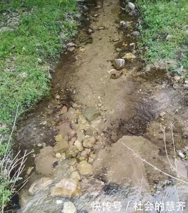 钓位|本味三兄弟，助我擒板鲫！