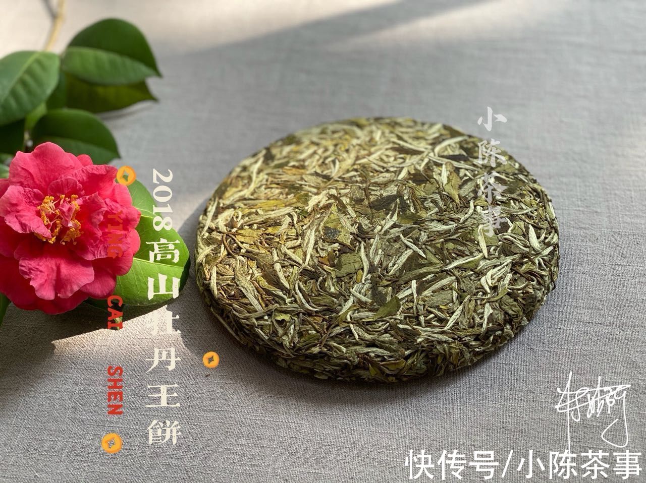 喝茶！5分钟，讲清白茶的5个常见误区，喝茶新手也能懂