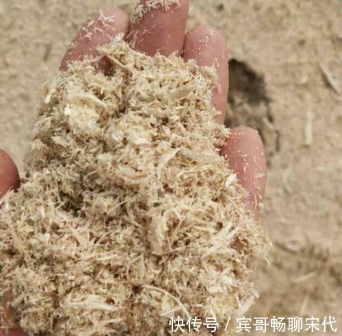花盆|4种“垃圾”捡回家,埋在花盆下,啥花都越养越旺,叶绿开花久